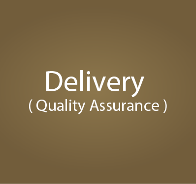 Delivery (Quality Assurance)